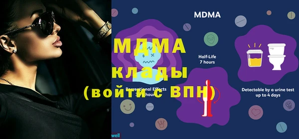 спайс Бородино