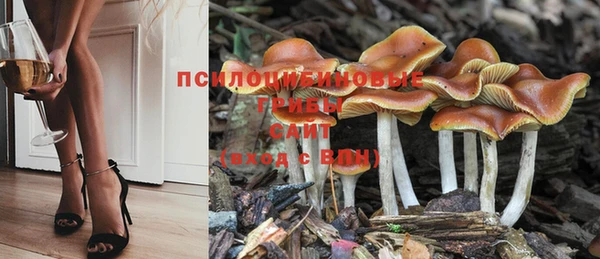 соль ск Волоколамск