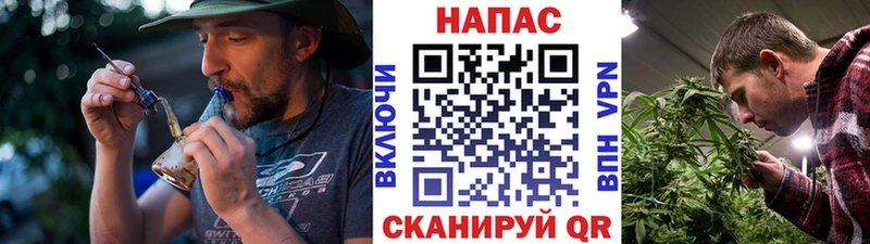 МАРИХУАНА конопля Закаменск