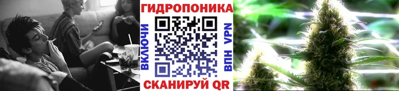 hydra ONION купить закладку Закаменск Каннабис сатива